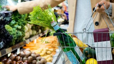 Discover how healthy eating habits have changed over the past 20 years. Explore key trends in nutrition, food choices, home cooking, and public health. And what they mean for your daily diet.